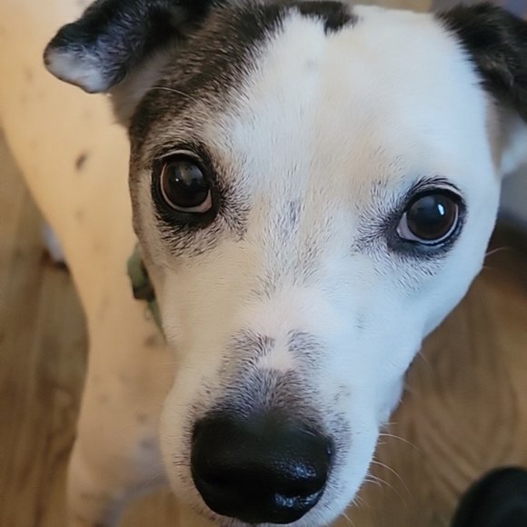 Welcome to VetFund closet - Picture 4 of 4